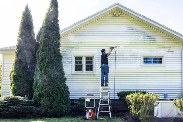 Best Residential Pressure Washing in Newberg, OR